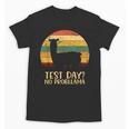 Test Day No Probllama Silhouette Teacher Student Graduation Unisex T-Shirt