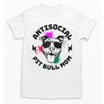 Antisocial Pit Bull Mom Pittie Introvert Dog Lover Pit Bull Raglan Baseball Tee Unisex T-Shirt