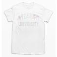 Crazy Antisocial WIZARDRY UNIVERSITY Introvert Don't Call Me Unisex T-Shirt