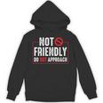 Not Friendly Do Not Approach Witty Introvert Tee Unisex Hoodie Not Friendly Do Not Approach Witty Introvert Tee Unisex Hoodie