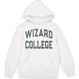 Antisocial WIZARD COLLEGE Introvert Don't Call Me Unisex Hoodie Antisocial WIZARD COLLEGE Introvert Don't Call Me Unisex Hoodie