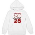Class Of 2025 Senior 2025 Graduation Red Raglan Baseball Tee Unisex Hoodie
