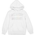 Crazy Antisocial WIZARDRY UNIVERSITY Introvert Don't Call Me Unisex Hoodie