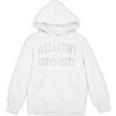 Crazy Antisocial WIZARDRY UNIVERSITY Introvert Don't Call Me Unisex Hoodie Crazy Antisocial WIZARDRY UNIVERSITY Introvert Don't Call Me Unisex Hoodie