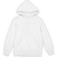 Good Girls Read Bad Books Smut Reader Dark Romance Premium Unisex Hoodie