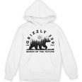 Memory Grizzly 399 1996 2024 Queen Of The Tetons Bear Lovers Unisex Hoodie