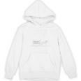 Playful Slow Pace Please Be Patient I'm From The 1900s Premium Unisex Hoodie