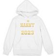 Proud Nanny Of Two 2023 Graduate Class 2023 Graduation Unisex Hoodie