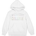 Retro Antisocial WIZARDRY COLLEGE Introvert Sarcastic Unisex Hoodie