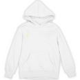 Seniors Graduation 2025 Bright High School Graduate Premium Unisex Hoodie