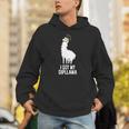 LLama Graduation I Got My Dipllama Cute Llama Unisex Hoodie