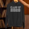 Class Of 2029 Graduation School Vintage Spirit Senior 2029 Unisex Hoodie