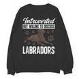 Chocolate Lab Dog Introvert Chocolate Labrador Retriever Unisex Sweatshirt Chocolate Lab Dog Introvert Chocolate Labrador Retriever Unisex Sweatshirt