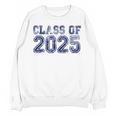 Class Of 2025 Grow With Me Future Graduation Year Unisex Sweatshirt