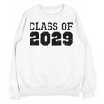 Class Of 2029 Future Graduation Vintage T-Shirt Unisex Sweatshirt