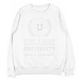 College University School Parody Students Graduation Unisex Sweatshirt