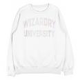 Crazy Antisocial WIZARDRY UNIVERSITY Introvert Don't Call Me Unisex Sweatshirt Crazy Antisocial WIZARDRY UNIVERSITY Introvert Don't Call Me Unisex Sweatshirt