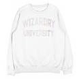 Crazy Antisocial WIZARDRY UNIVERSITY Introvert Don't Call Me Unisex Sweatshirt Crazy Antisocial WIZARDRY UNIVERSITY Introvert Don't Call Me Unisex Sweatshirt