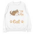 Kitty Pet Lover Introvert Person Cats Show Family Member Unisex Sweatshirt