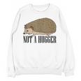 Not A Hugger Hedgehog Introvert Sarcasm Antisocial Unisex Sweatshirt