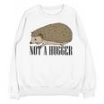 Not A Hugger Hedgehog Introvert Sarcasm Antisocial Unisex Sweatshirt Not A Hugger Hedgehog Introvert Sarcasm Antisocial Unisex Sweatshirt