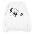 Peanuts Graduation Squad Snoopy Woodstock Raglan Baseball Tee Unisex Sweatshirt