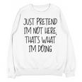 Pretend Introvert Introverted Apparel Unisex Sweatshirt Pretend Introvert Introverted Apparel Unisex Sweatshirt