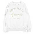 Promoted To Senior Est 2025 High School College Graduation Premium Unisex Sweatshirt
