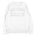 Retro Antisocial WIZARDRY COLLEGE Introvert Sarcastic Unisex Sweatshirt