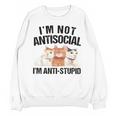 Sarcasm Cat Sarcastic Introvert Antisocial Cat Lover Unisex Sweatshirt Sarcasm Cat Sarcastic Introvert Antisocial Cat Lover Unisex Sweatshirt