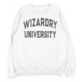 Silly Don'T Call Me WIZARDRY UNIVERSITY Introvert Sarcastic Unisex Sweatshirt Silly Don'T Call Me WIZARDRY UNIVERSITY Introvert Sarcastic Unisex Sweatshirt