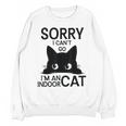 Sorry I Can't Go I'm An Indoor Cat Introvert Cats Unisex Sweatshirt Sorry I Can't Go I'm An Indoor Cat Introvert Cats Unisex Sweatshirt
