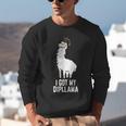 LLama Graduation I Got My Dipllama Cute Llama Unisex Sweatshirt
