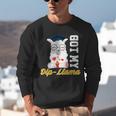 Senior Graduation TShirt 2019 Got My Dip-Llama Diploma Shirt Unisex Sweatshirt