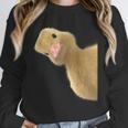 Peking Duck Peeking Chef Graduation Farm Duck Lover Unisex Sweatshirt