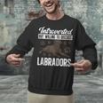 Chocolate Lab Dog Introvert Chocolate Labrador Retriever Unisex Sweatshirt Chocolate Lab Dog Introvert Chocolate Labrador Retriever Unisex Sweatshirt