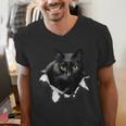 Cat Torn Cloth For Cat Lover Cat Dad Cat Mom Men's V-Neck T-Shirt