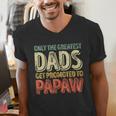 Only The Greatest Dads Get Promoted To Papaw Men's V-Neck T-Shirt