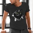 Cat Torn Cloth For Cat Lover Cat Dad Cat Mom Men's V-Neck T-Shirt