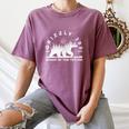 Memory Grizzly 399 1996 2024 Queen Of The Tetons Bear Lovers Premium Tri-Blend Women's Comfort Colors T-Shirt Blue Jean