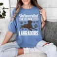 Chocolate Lab Dog Introvert Chocolate Labrador Retriever Women's Comfort Colors T-Shirt Chalky Mint Chocolate Lab Dog Introvert Chocolate Labrador Retriever Women's Comfort Colors T-Shirt Chalky Mint