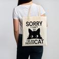 Sorry I Can't Go I'm An Indoor Cat Introvert Cats Canvas Tote Bag Sorry I Can't Go I'm An Indoor Cat Introvert Cats Canvas Tote Bag