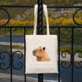 Antisocial Introvert Capybara Sarcastic Humor Canvas Tote Bag Antisocial Introvert Capybara Sarcastic Humor Canvas Tote Bag