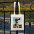 David And Goliath Bible Book Of Samuel King David Canvas Tote Bag