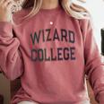 Retro Antisocial WIZARD COLLEGE Introvert Don't Call Me Comfort Colors Sweatshirt Crimson