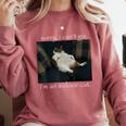 Sorry I Can’t Go I’m An Indoor Cat Introvert Meme Comfort Colors Sweatshirt Crimson Sorry I Can’t Go I’m An Indoor Cat Introvert Meme Comfort Colors Sweatshirt Crimson