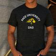 Pace University Setters Arched Dad Men's Casual T-Shirt Dark Grey Pace University Setters Arched Dad Men's Casual T-Shirt Dark Grey