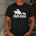 Papa Bear Two Cubs Shirt Daddy Bear Twin Tshirt Papa 2 Kids Men's Casual T-Shirt Dark Grey