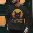 Best Cat Dad Ever Vintage Cat Daddy Fathers Day Men Sweatshirt