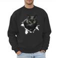 Cat Torn Cloth For Cat Lover Cat Dad Cat Mom Men Sweatshirt